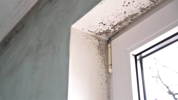 Water Damage Restoration in Rutland, VT