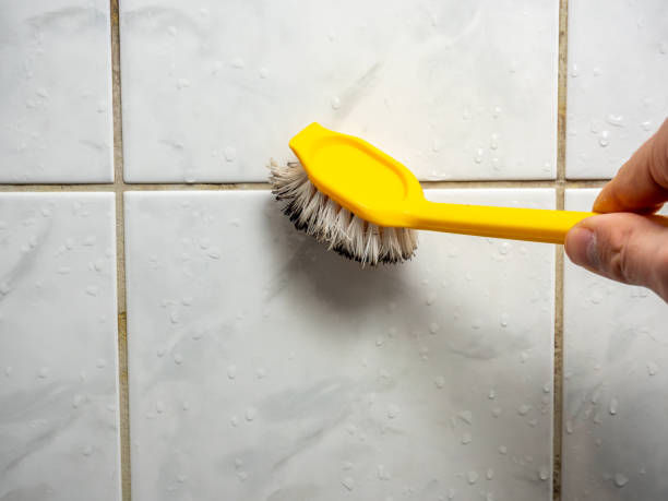 Best Best Mold Removal Companies  in Rutland, VT