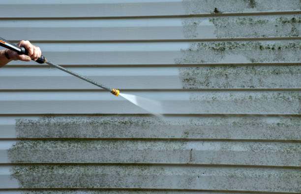 Mold Removal Process in Rutland, VT