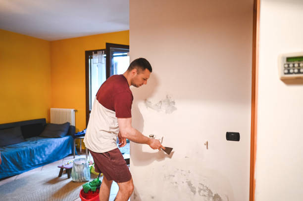 Best Mold Damage Repair  in Rutland, VT