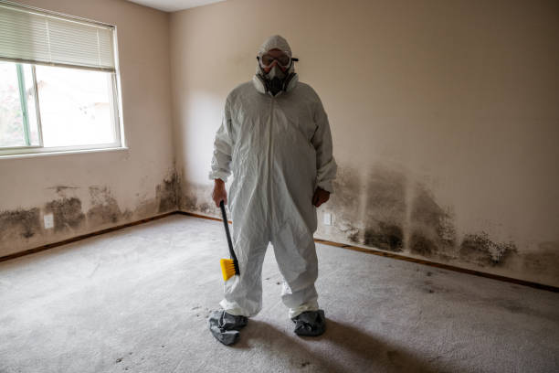 Crawl Space Mold Removal in Rutland, VT